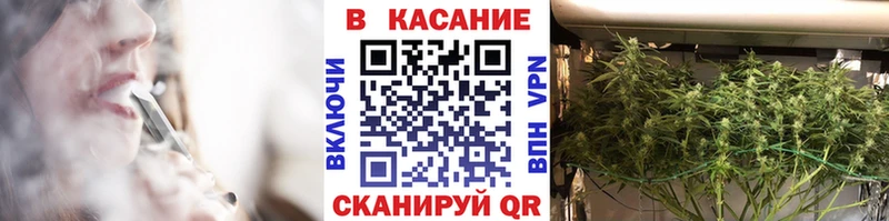 Бошки Шишки Вяземский