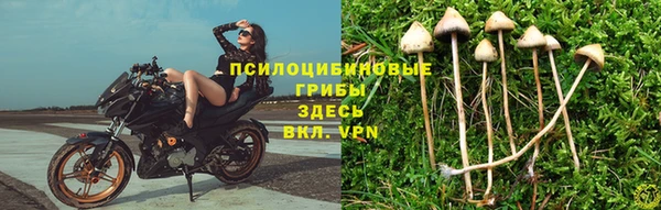 а пвп мука Баксан