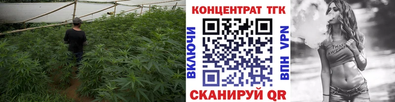 продажа наркотиков  Вяземский  Дистиллят ТГК гашишное масло 