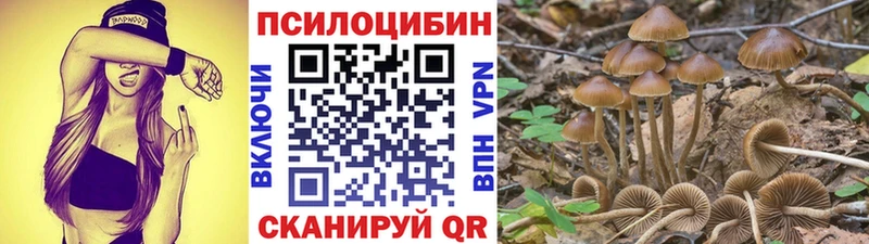 купить закладку  Вяземский  Галлюциногенные грибы GOLDEN TEACHER 